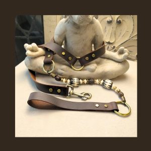 Balance Leather Dog Leash