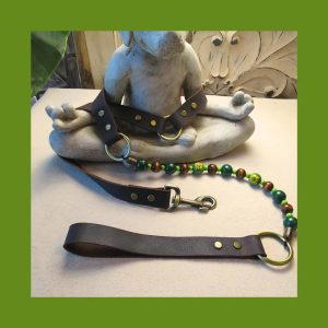 Happiness Dog Leash