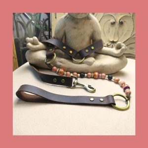 The Happy Buddha Dog Leash