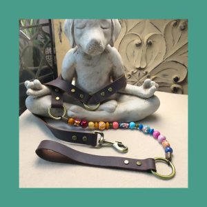 Awakening Bloom Dog Leash