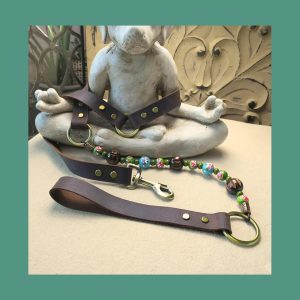Eden Dog Leash