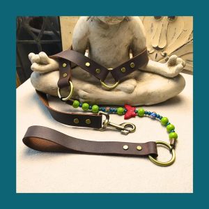 Enchanted Butterfly Dog Leash