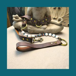 Eye Of Protection Dog Leash