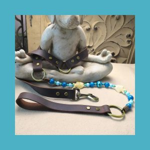 Fortunate Fish Dog Leash