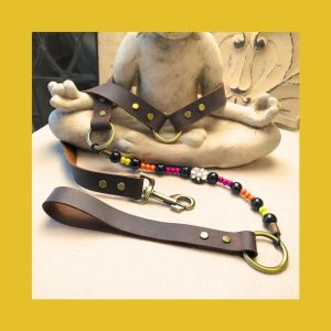 Helios Dog Leash