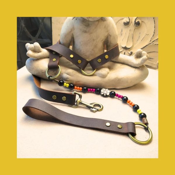 Helios Dog Leash