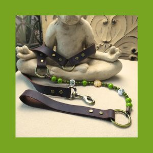 Lady Luck Dog Leash