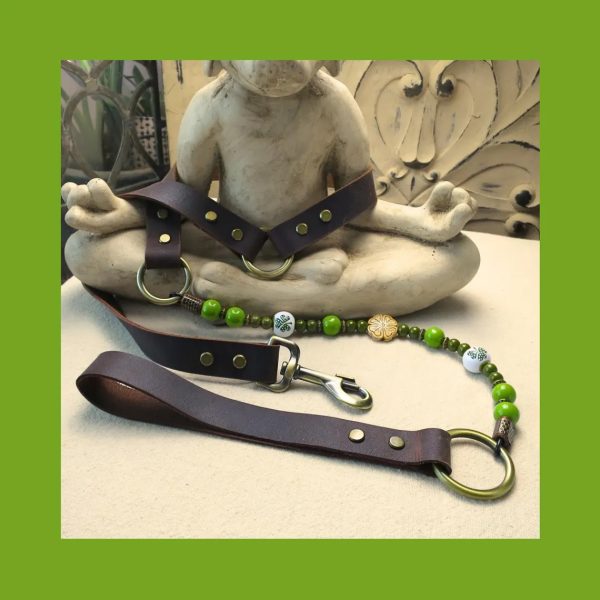 Lady Luck Dog Leash