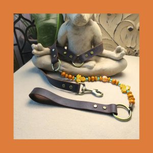 Sacred Frog Leash