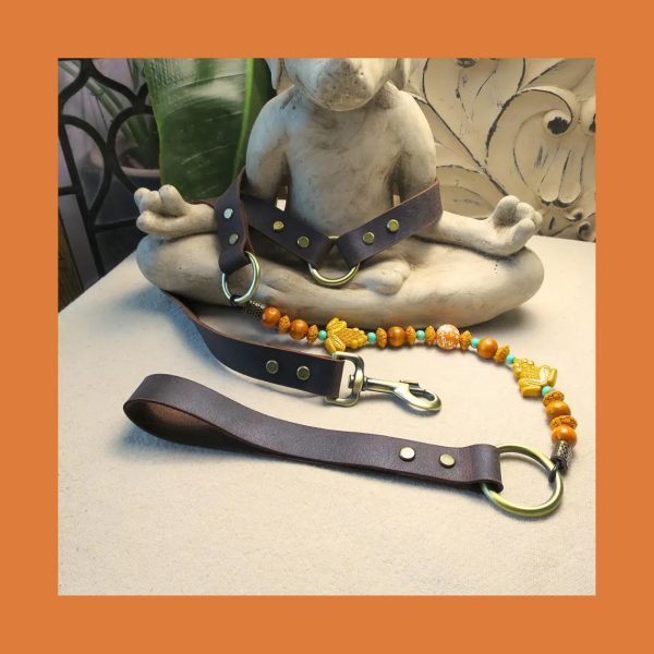 Sacred Frog Leash