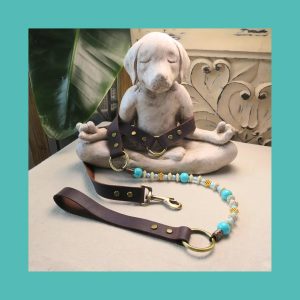 Starseed Dog Leash