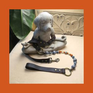 The Happy Daisy Dog Leash